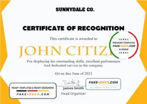 USA Recognition in Performance certificate template in Word and PDF format USA Recognition in Performance certificate template in Word and PDF format