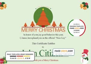 USA Christmas Gift certificate template in Word and PDF format USA Christmas Gift certificate template in Word and PDF format