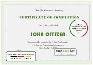 USA Computer Training certificate template in Word and PDF format USA Computer Training certificate template in Word and PDF format