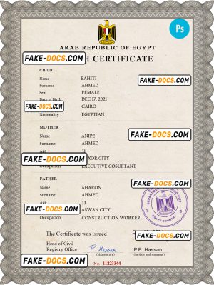 Egypt vital record birth certificate PSD template, fully editable