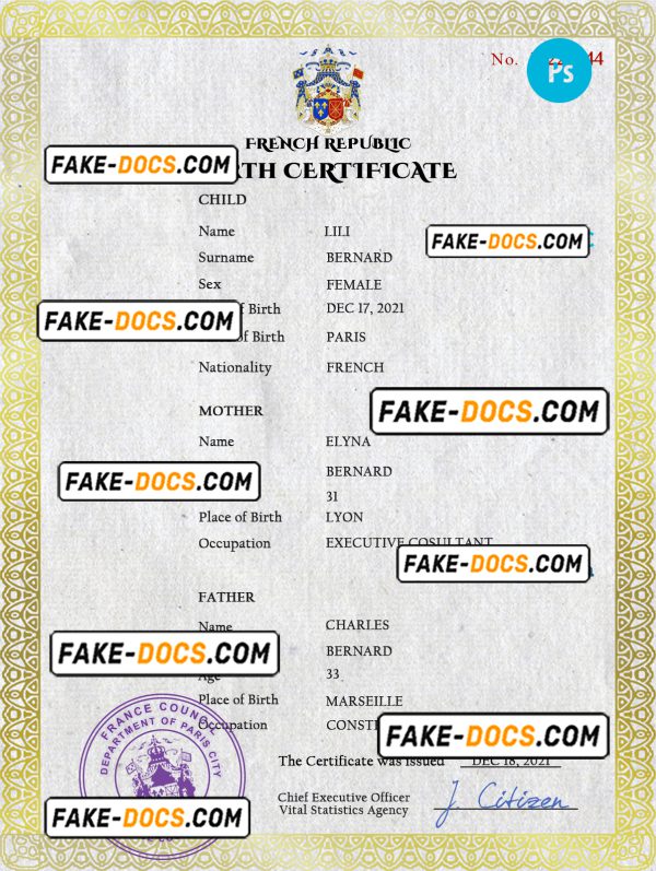 France vital record birth certificate PSD template, completely editable