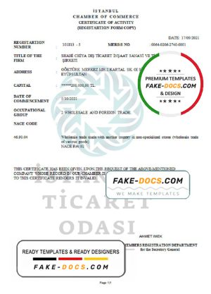 Turkey Istanbul Certificate of Activity template in Word and PDF format Turkey Istanbul Certificate of Activity template in Word and PDF format