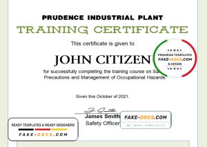 USA Training certificate template in Word and PDF format, version 2 USA Training certificate template in Word and PDF format, version 2