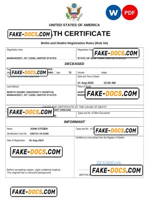 USA vital record death certificate Word and PDF template USA vital record death certificate Word and PDF template