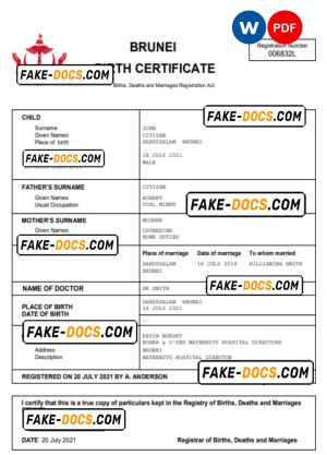 Brunei vital record birth certificate Word and PDF template