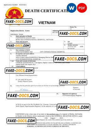 Vietnam vital record death certificate Word and PDF template Vietnam vital record death certificate Word and PDF template