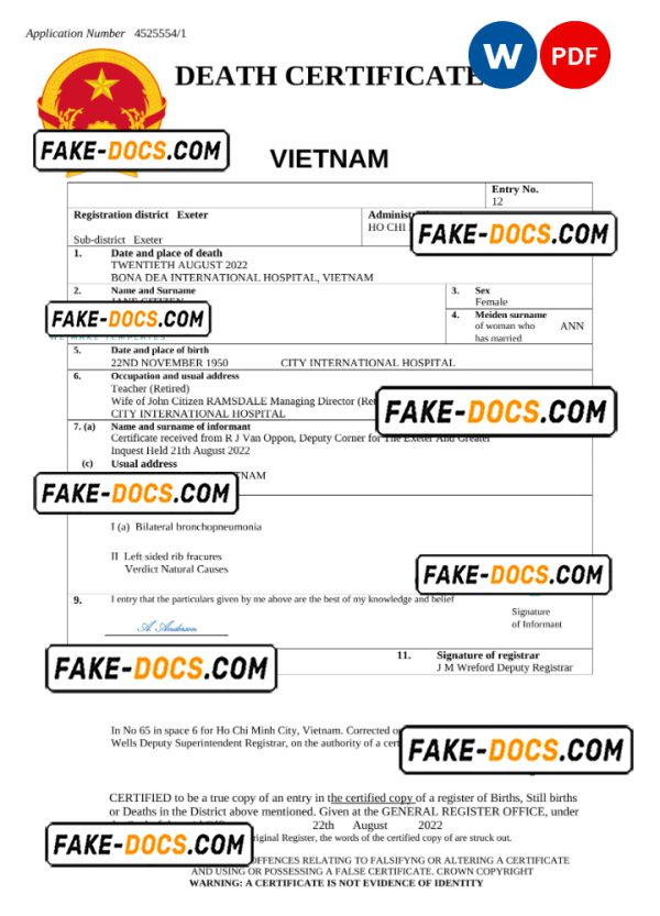 Vietnam vital record death certificate Word and PDF template