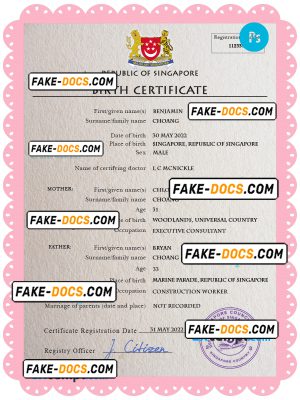 Singapore vital record birth certificate PSD template