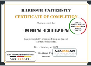 USA Recognition Certificate template in Word and PDF format USA Recognition Certificate template in Word and PDF format