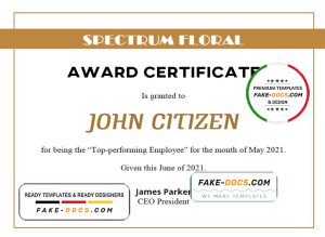 USA Award Certificate template in Word and PDF format USA Award Certificate template in Word and PDF format