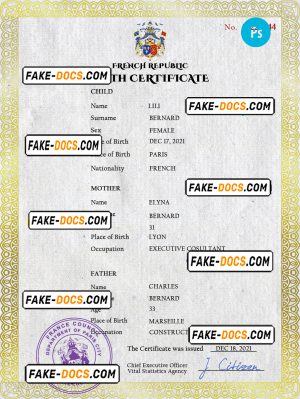France vital record birth certificate PSD template, completely editable