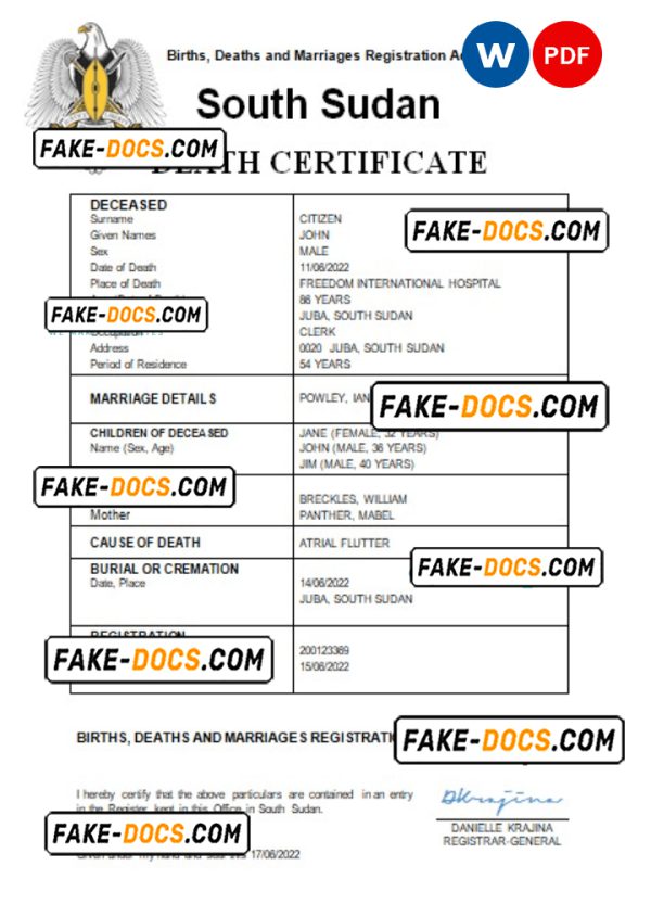 South Sudan vital record death certificate Word and PDF template