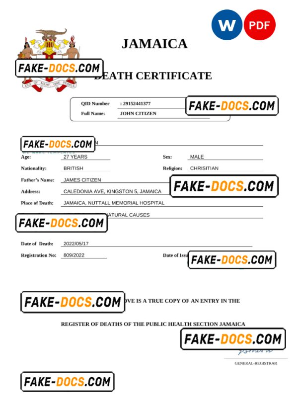 Jamaica vital record death certificate Word and PDF template