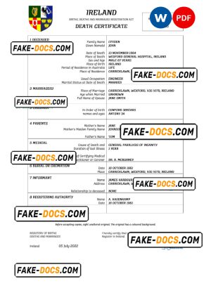 Ireland vital record death certificate Word and PDF template