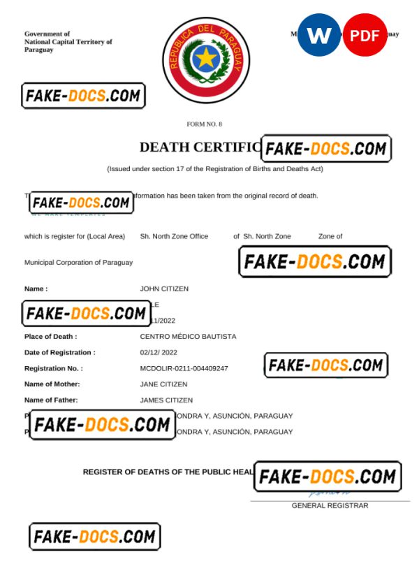 Paraguay death certificate Word and PDF template, completely editable