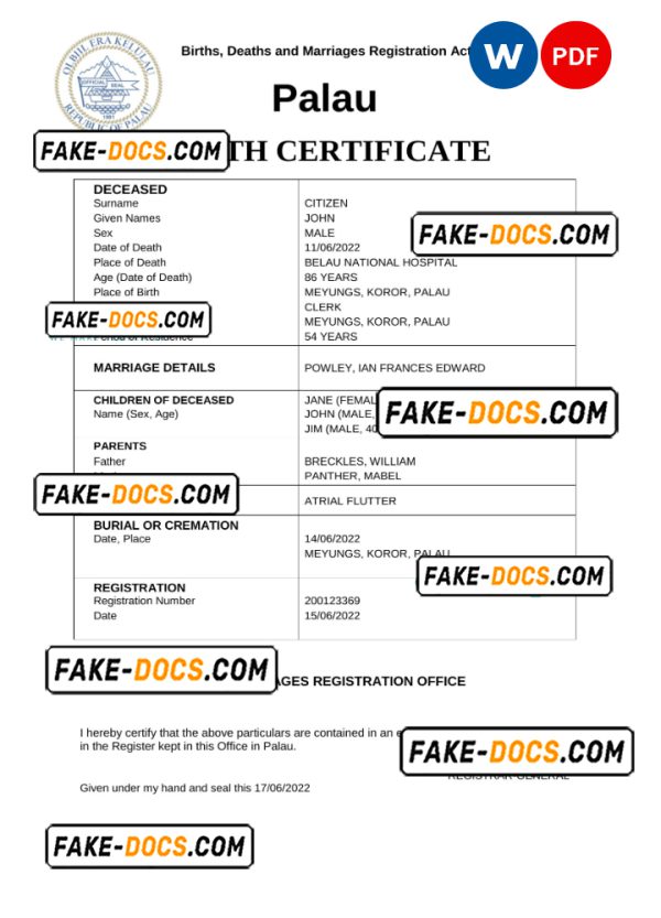 Palau vital record death certificate Word and PDF template