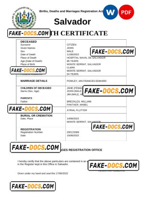 Salvador vital record death certificate Word and PDF template Salvador vital record death certificate Word and PDF template