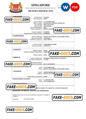Singapore vital record death certificate Word and PDF template Singapore vital record death certificate Word and PDF template