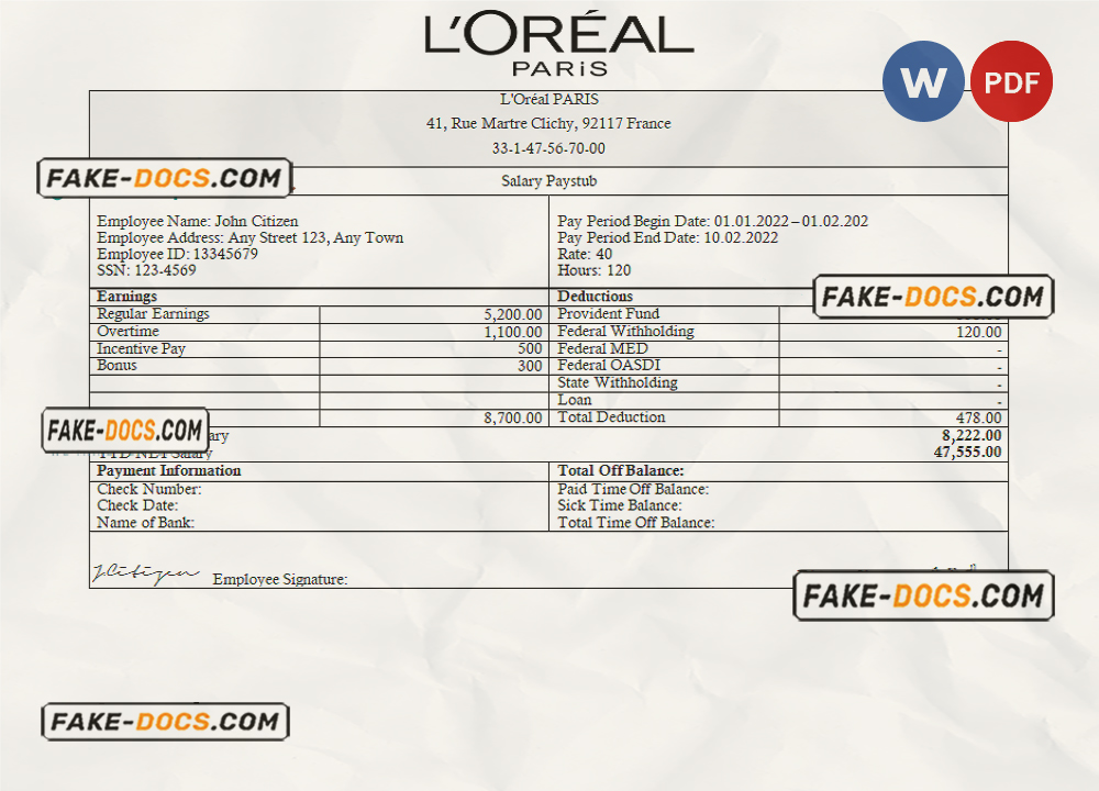France Loreal Paris cosmetic distributing company pay stub Word and PDF template scan