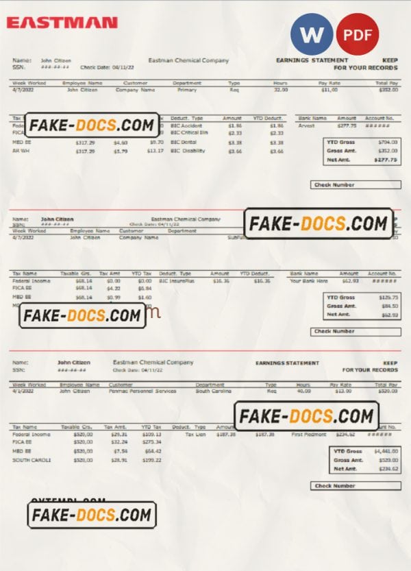 USA chemical industry earning statement template in Word and PDF format