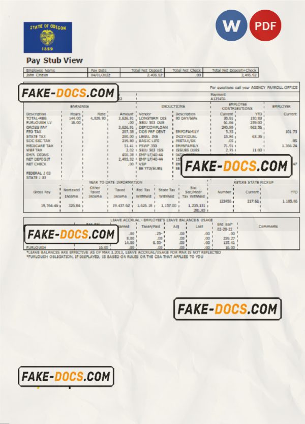 USA commercial company earnings statement template in Word and PDF format scan