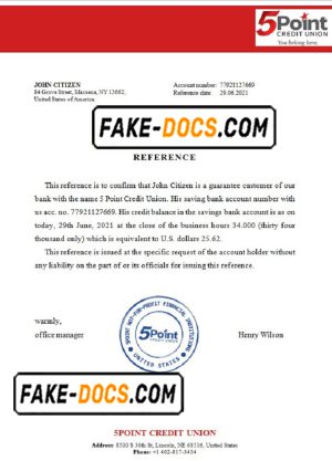USA 5Point bank account reference letter template in Word and PDF format