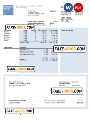 USA financial company earning statement template in Word and PDF format, version 2