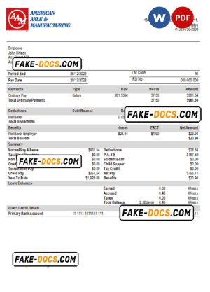USA American Axle manufacturing company pay stub Word and PDF template