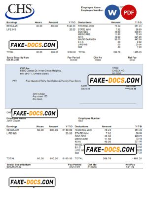 USA CHS Inc. agricultural company pay stub Word and PDF template