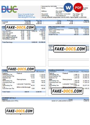 USA Dixon University Center educational company pay stub Word and PDF template