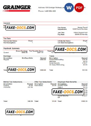 USA Grainger industry company pay stub Word and PDF template