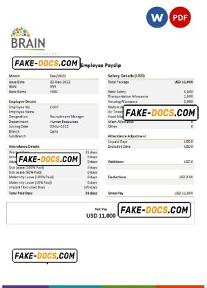 USA Brain Technology technology company pay stub Word and PDF template