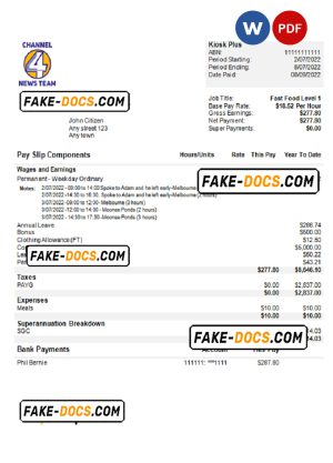 USA Channel News Team 4 media company pay stub Word and PDF template