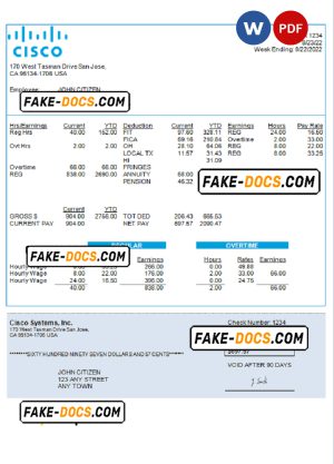 USA Cisco Systems, Inc. hardware company pay stub Word and PDF template