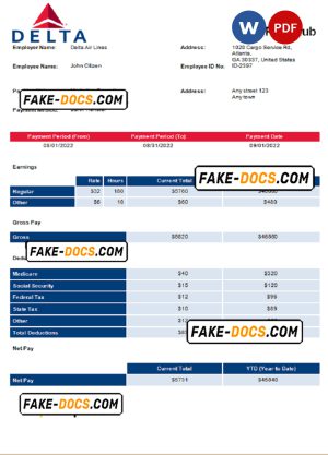 USA Delta Air Lines airlines company pay stub Word and PDF template