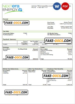 USA NextEra Energy electric company pay stub Word and PDF template