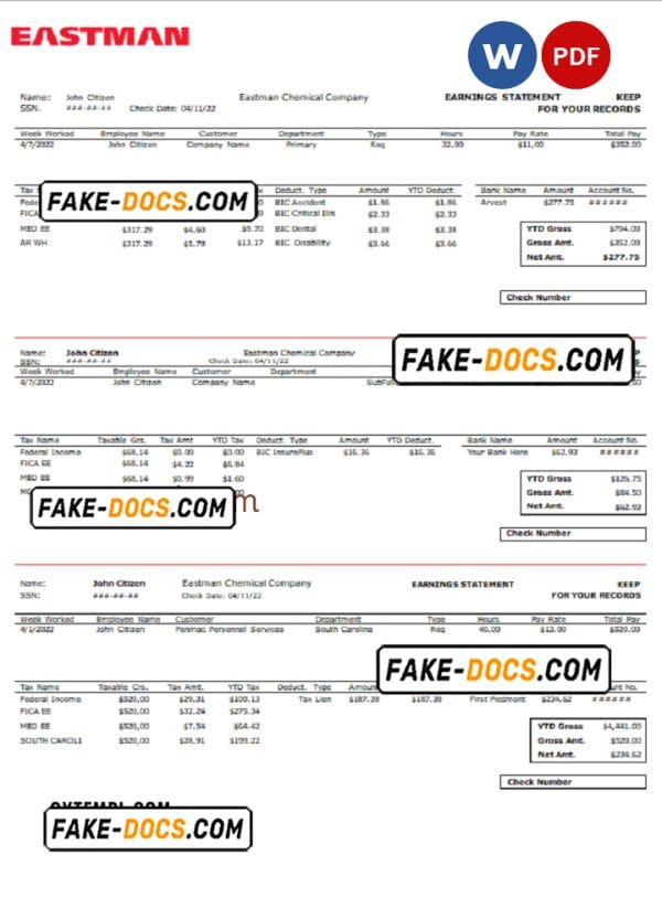 USA chemical industry earning statement template in Word and PDF format