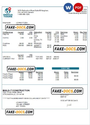 USA Omega Tours tourism company pay stub Word and PDF template