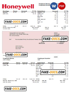 USA Honeywell conglomerate company pay stub Word and PDF template