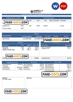 USA Umbrella pharmaceutical company pay stub Word and PDF template
