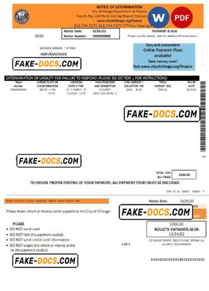 USA Chicago Notice of Determination pay stub Word and PDF template