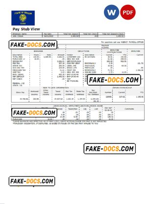 USA commercial company earnings statement template in Word and PDF format