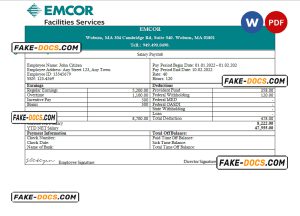 USA engineering company employee earning statement template in Word and PDF format