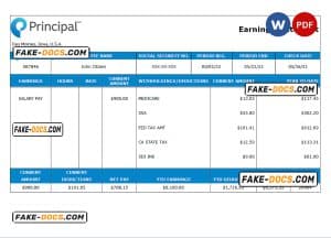 USA financial company earning statement template in Word and PDF format