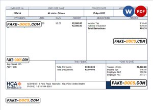 USA healthcare company employee sheet template in Word and PDF format