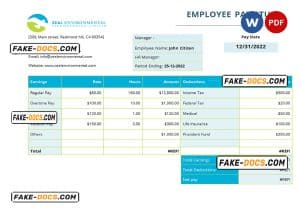 USA Texas commercial cleaning company earnings statement template in Word and PDF format