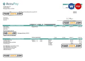 USA Accupay Demo Inc. payroll company pay stub Word and PDF template