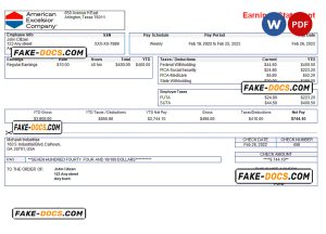 USA American Excelsior distribution company pay stub Word and PDF template