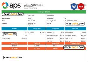 USA APS public services company pay stub Word and PDF template