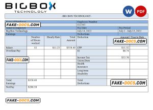 USA Big Box Technologies technology company pay stub Word and PDF template